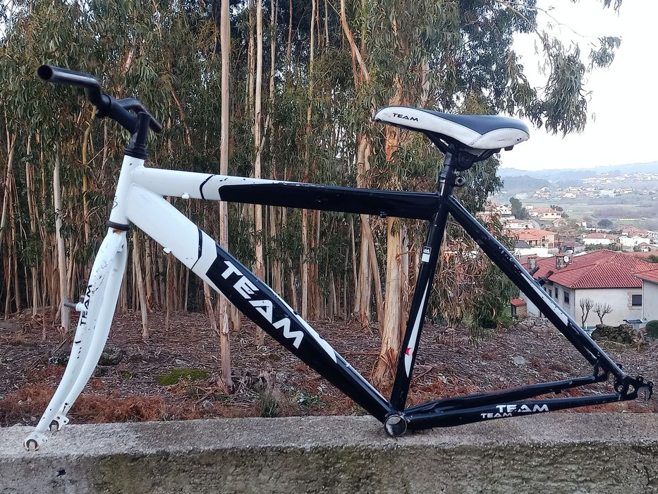 Quadro de bike Team com banco original