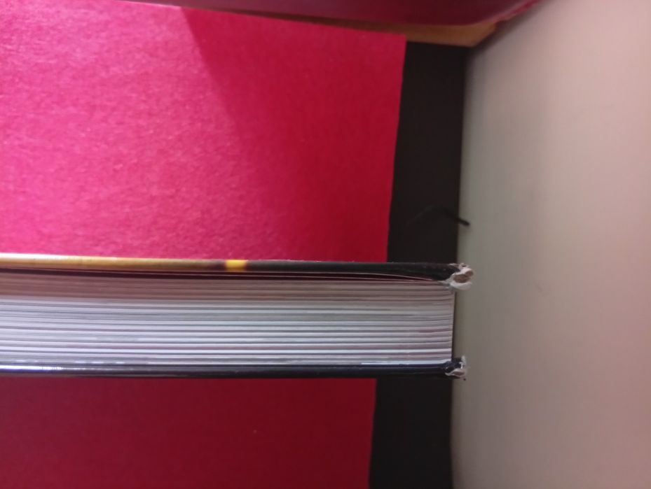 Livro Xutos & pontapés