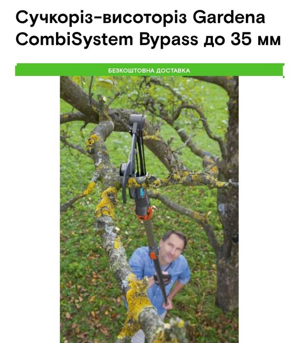 Гілкоріз висотний (вир. Німеччина)