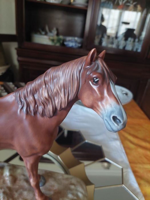 Cavalo vista alegre