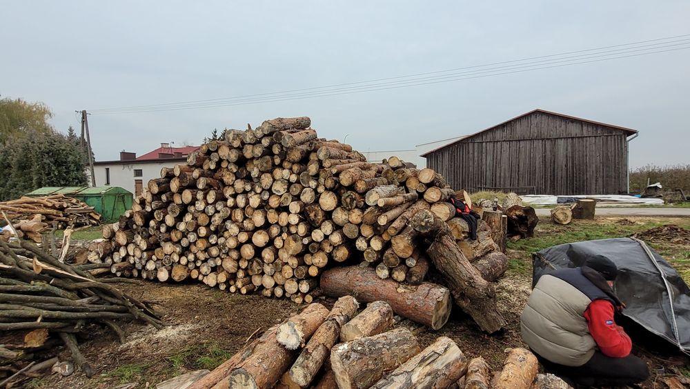 Drewno kominkowe oraz opałowe jabłoń klon sosna osika brzoza