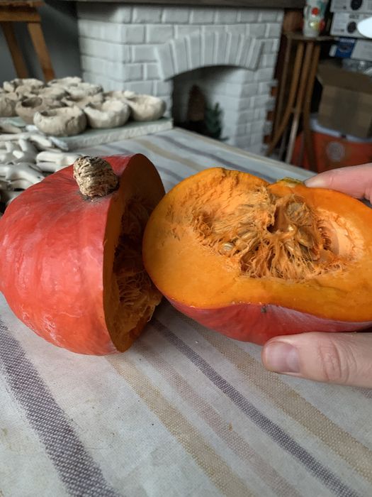 Насіння декоративних гарбузів