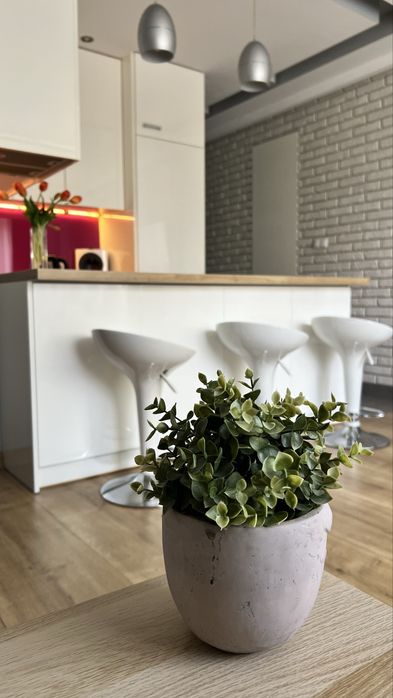 Noclegi Apartament Premium Pokoje Sandomierz Centrum