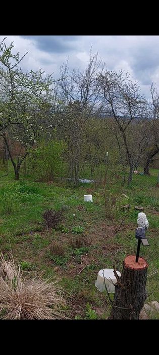 Дача Кротенки 12 соток