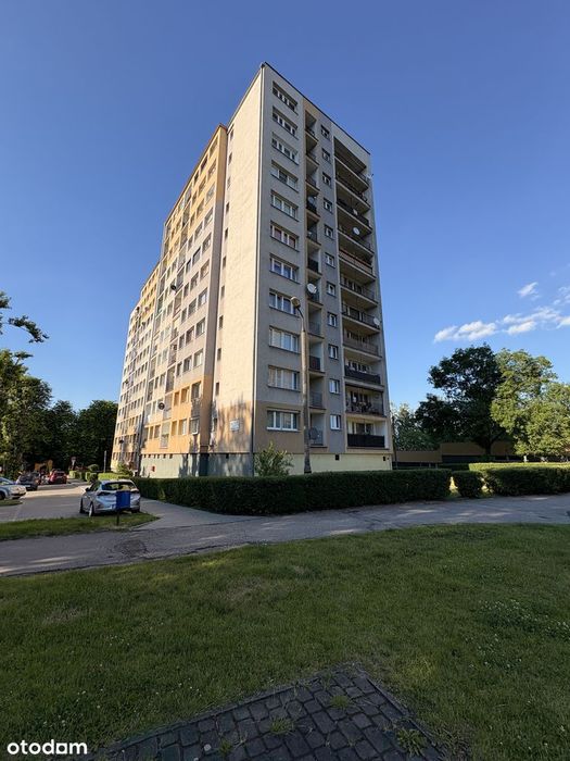 Jasne 3 pokoje z osobną kuchnią i balkonem | Ruda Śląska | Mickiewicza