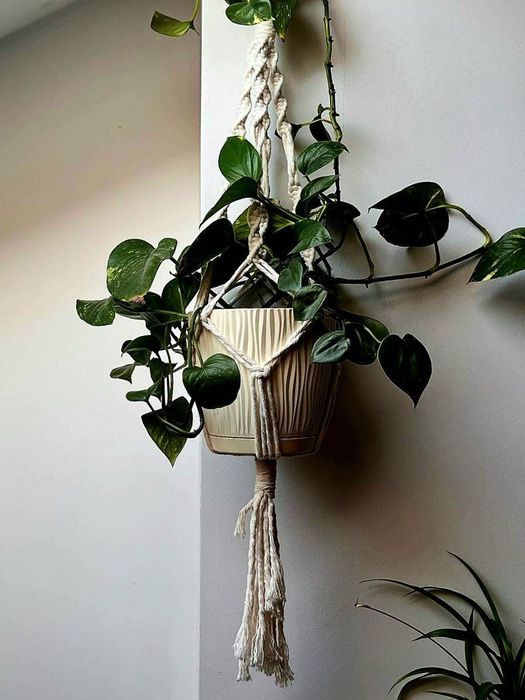 Cache-Pot: doniczka z makramy do kwiatów