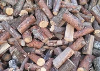 Drewno drzewo Sosna sucha