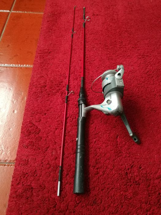 Cana de pésca + carreto