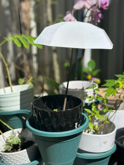 Chapéu de Chuva para Plantas e Flores