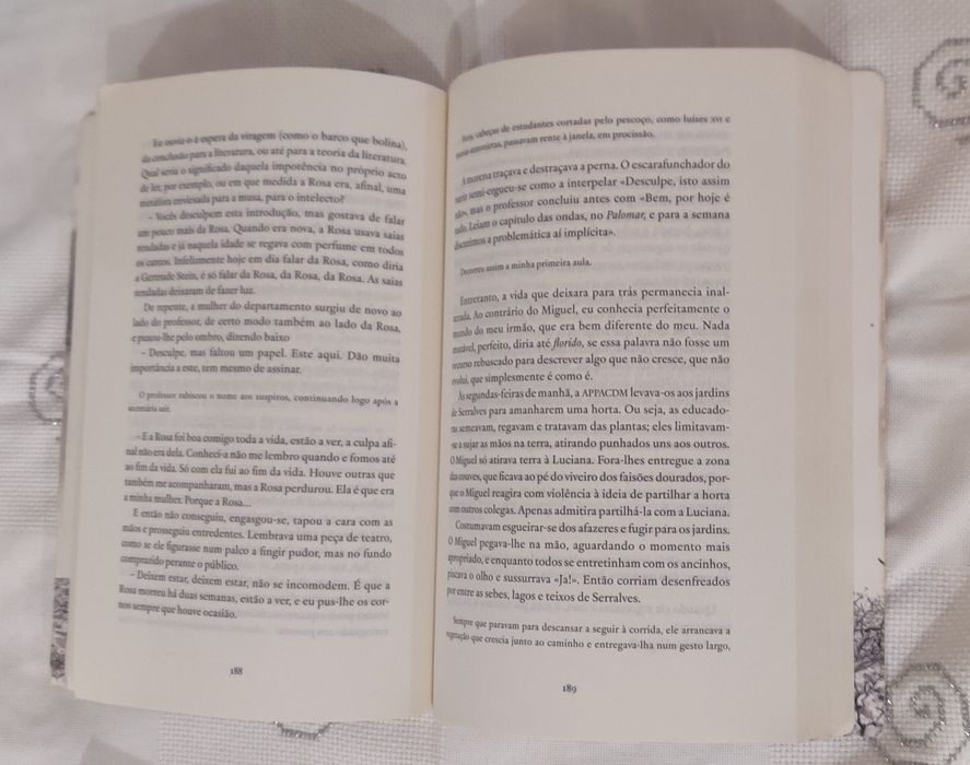 Livro o meu irmão