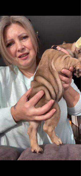 Дівчинка в окрасі соболь