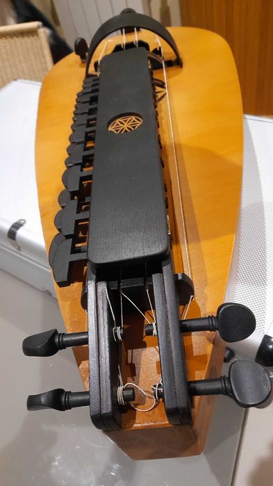 Hurdy-Gurdy (Sanfona ou viola de roda)