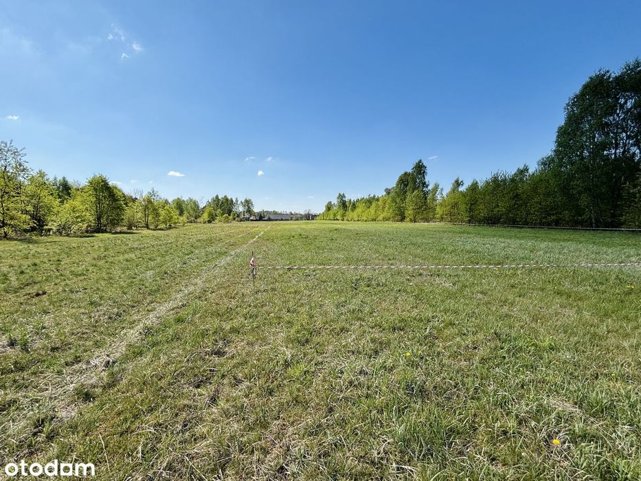 Działki 900 m² | WZ bezterminowe| Starcza - centrum - spokojna okolica - Widok 6