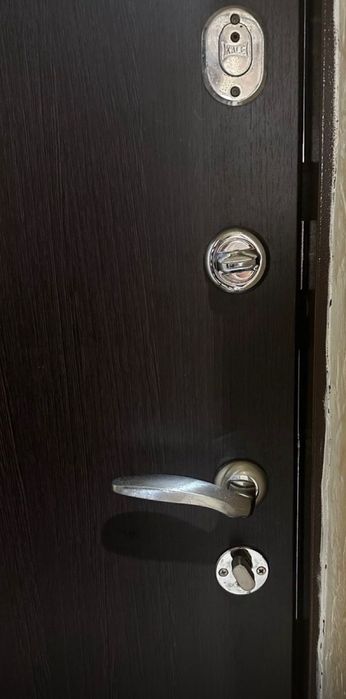 Входная дверь Саган