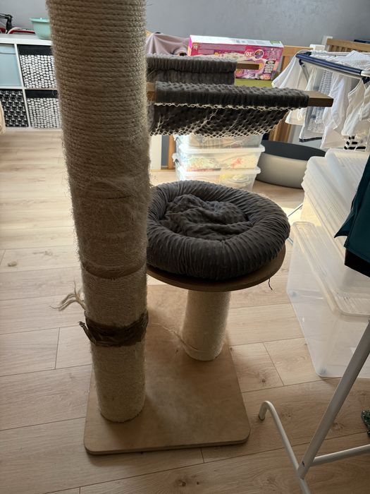 Drapak amaryllis L natural paradise