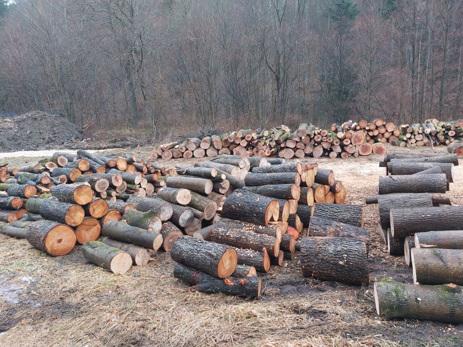 Drewno opalowe kominkowe buk