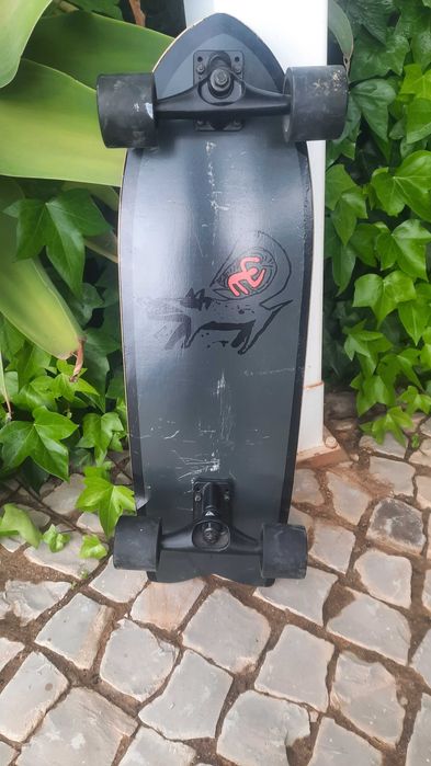 Skate boards x 2