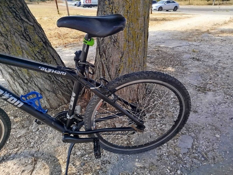 Excelente oportunidade