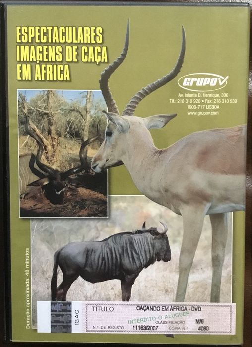 DVD  Caçando em África  O Melhor Safari de Iniciação na África do Sul