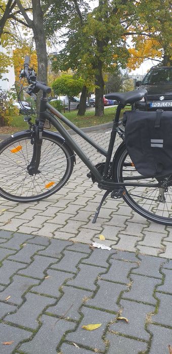 Rower Winora Domingo 24