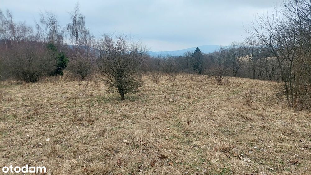 Łężyce Szczytna działka budowlana inwestycja turystyczna Góry Stołowe