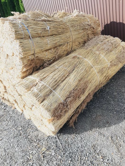 Trzcina dachowa w wiązkach