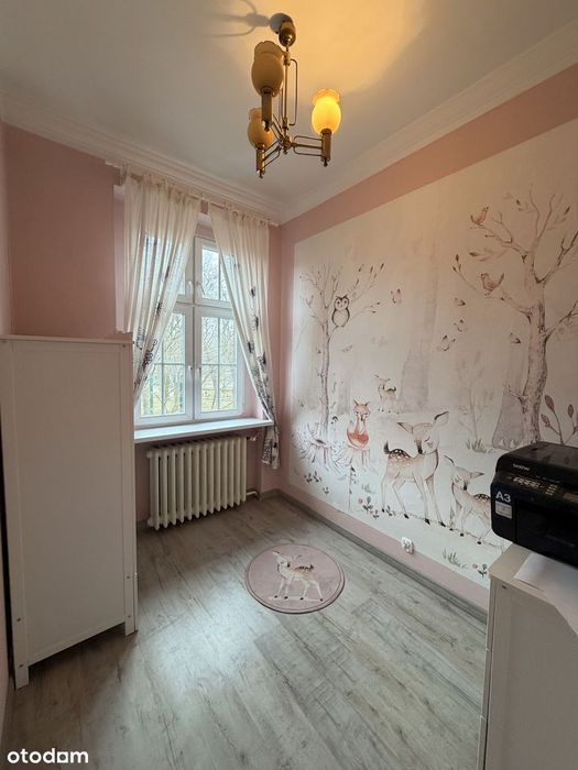 Duże mieszkanie w Bytomiu z balkonem dł. 12m - widok na park miejski