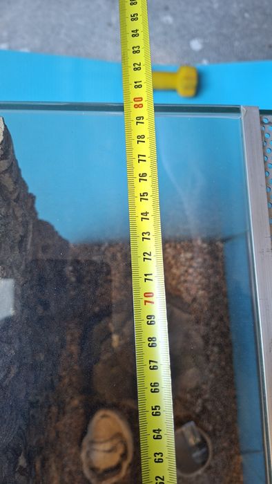 Terrarium dla żółwia