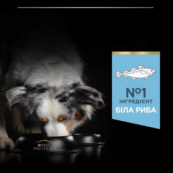 Pro Plan Light/Sterilised 14 кг з рибою для собак . Корм Про План