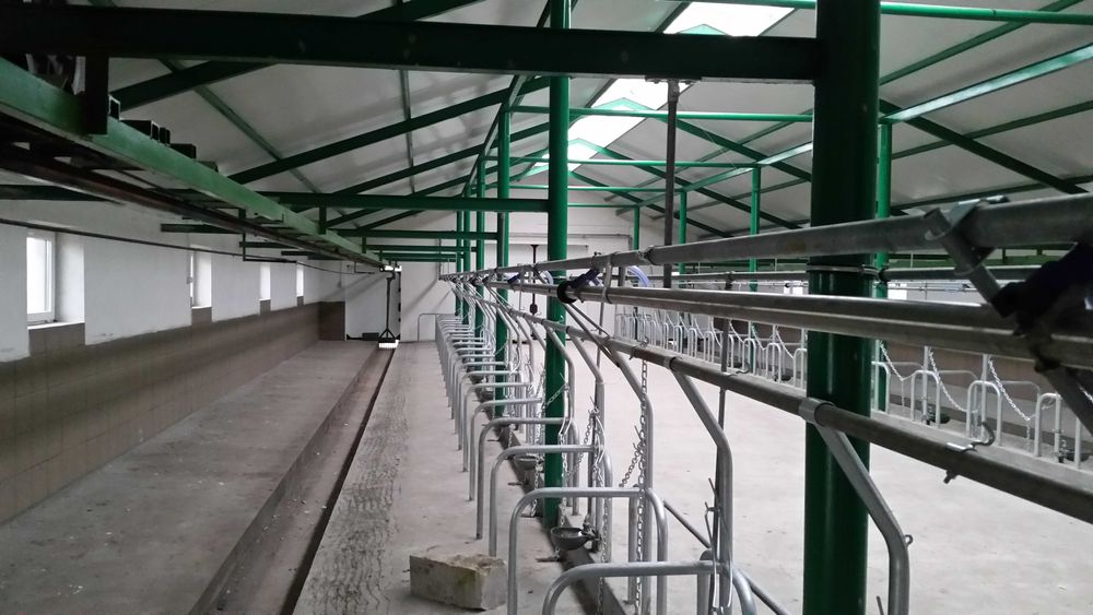 dojarka przewodowa, rurociągowa