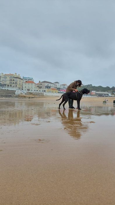 Petsitter/cuidadora de animais