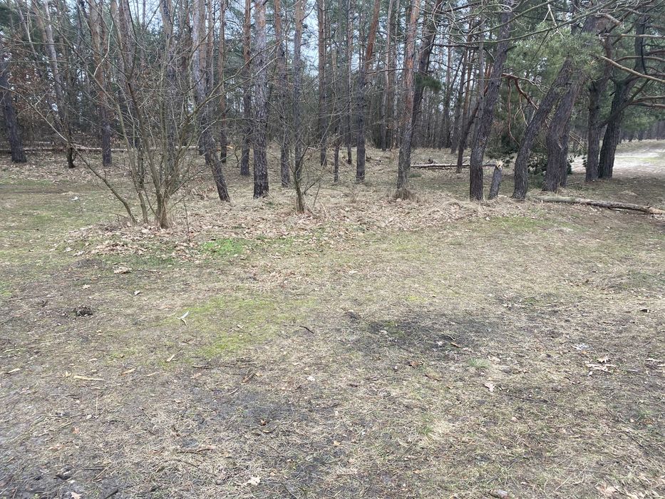 Земля в Свидівку з виходом до каналу