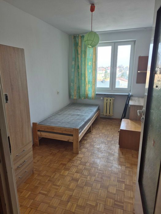 Pokój do wynajęcia Biała Podlaska ul. Kopernika, blisko AWF