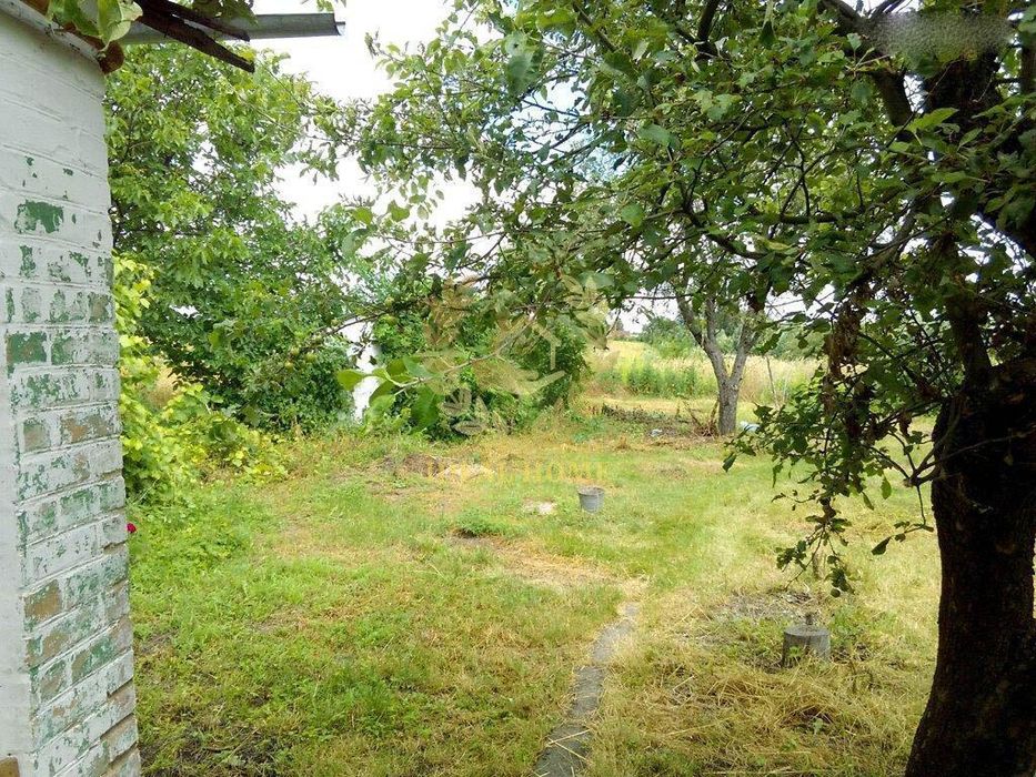 Продам чудовий будинок у мальовничому селі Пологи,