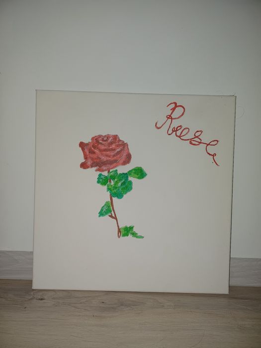 Pierwsza Róża "ROSE"