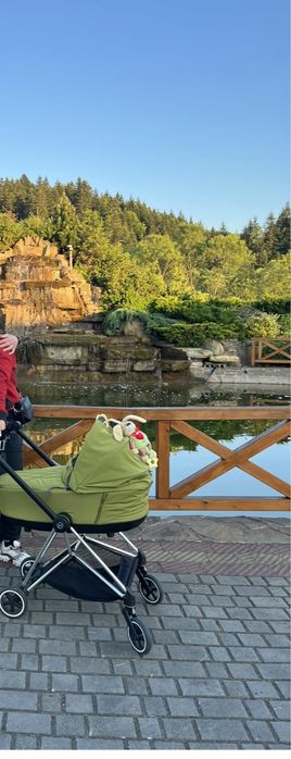 CYBEX детская коляска