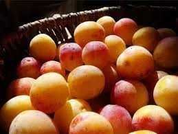 Fruta e compotas  biológicas