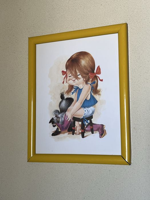 I offer decorative framed pictures64752167562883123