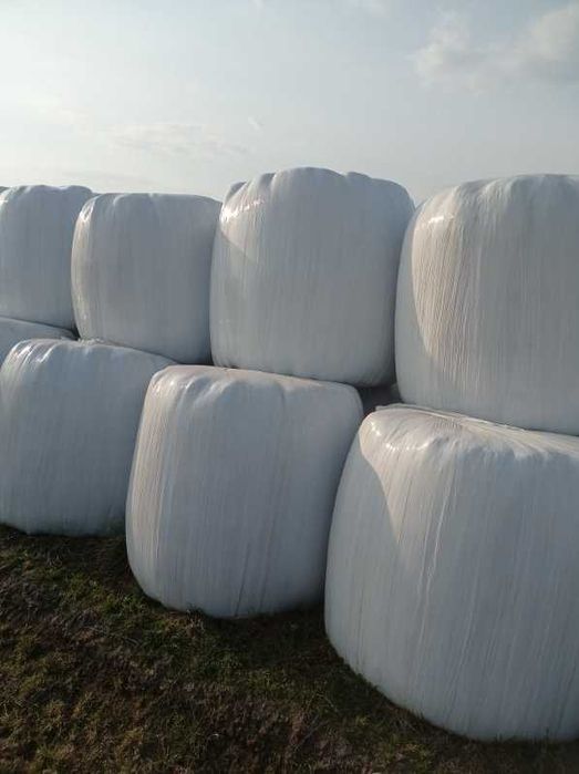 Sprzedam belki sianokiszonki