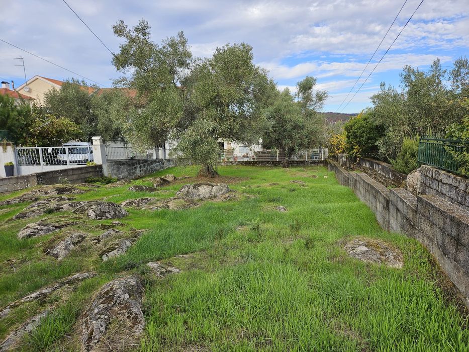 Lote para casa, jardim e quintal com canastro