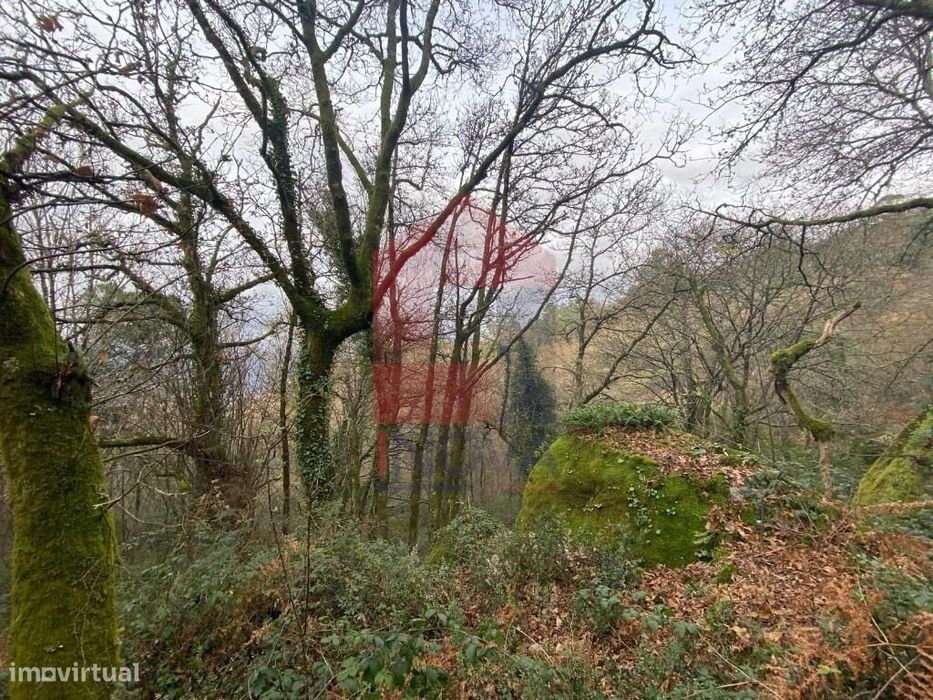 2 Terrenos para venda, Cuide de Vila Verde