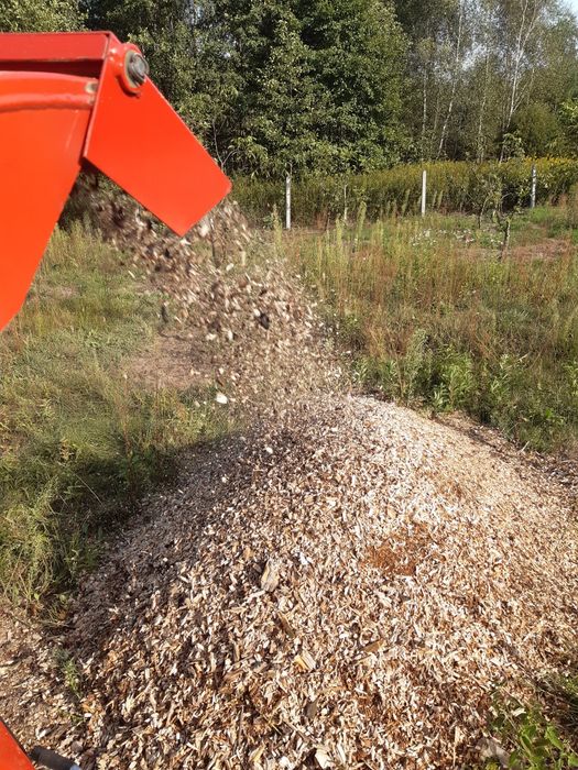 Wycinka drzew, usługi rębakiem, Frezowanie pnii