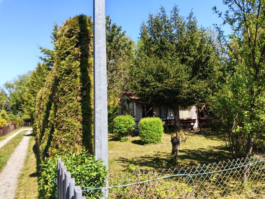 Działka ROD Jarzynka w Dobczycach - Więcej