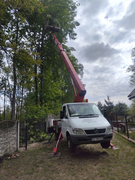 22m Usługi, wynajem podnośnika koszowego, zwyżka 22m, wycinka drzew.