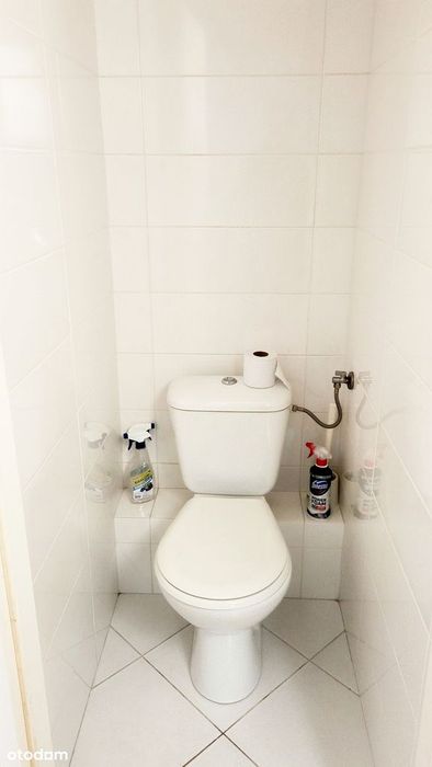 Zdjęcie 5