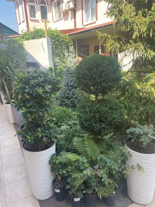 Аренда банкетного зала