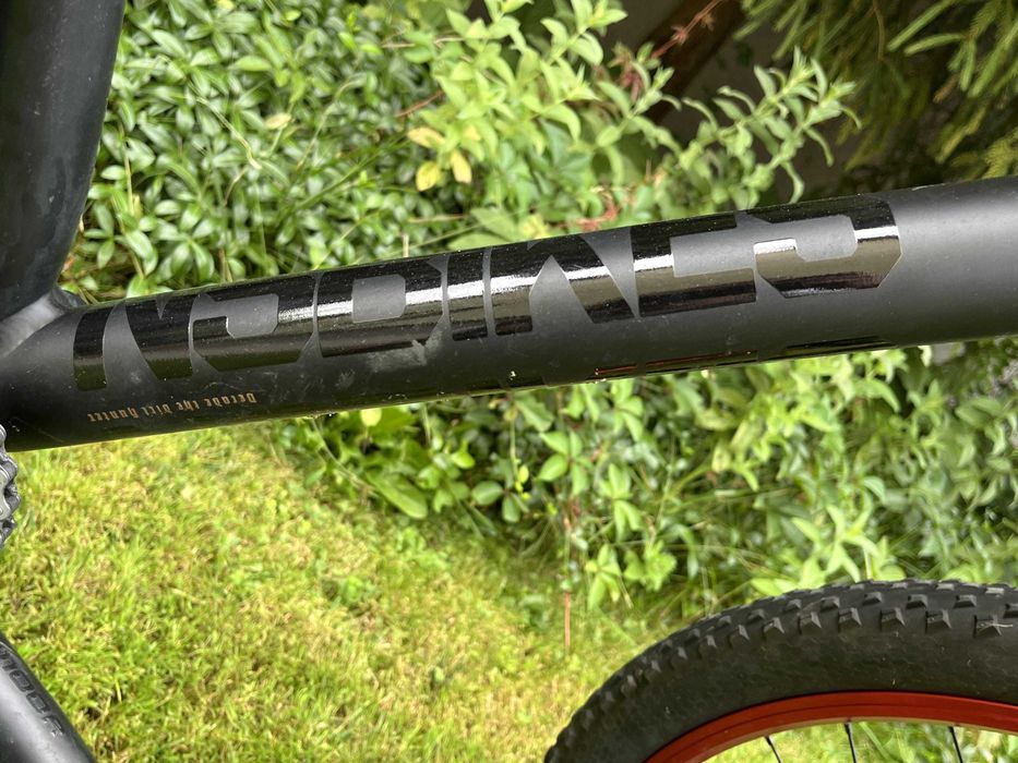 NS Decade 2021 | Pike | Renthal Carbon | Projekt bez kompromisów!