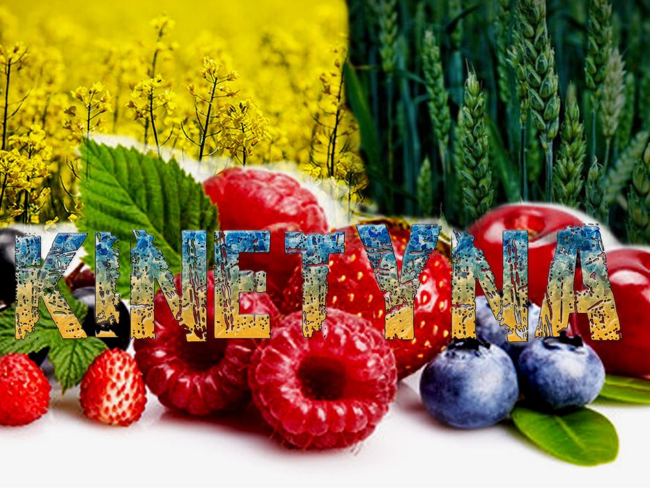 Kinetyna 10 g opakowanie