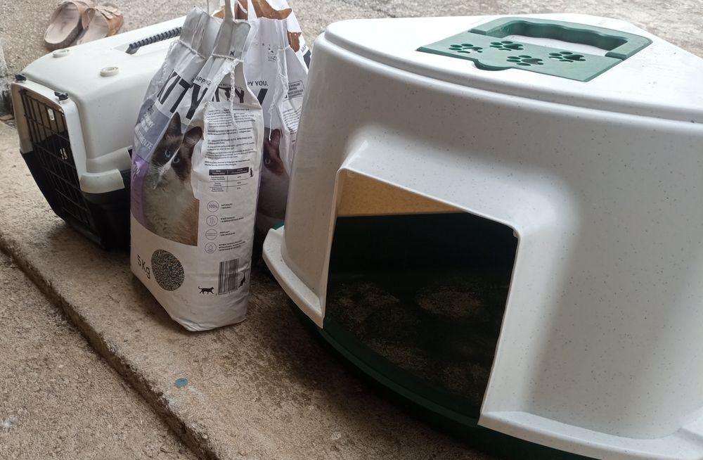 Casa para gatos, gaiola de transporte