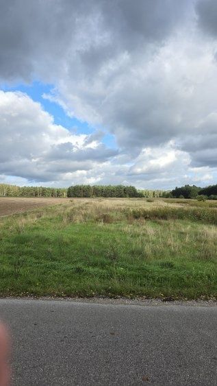 Sprzedam działkę budowlaną o pow. 1.5 ha w miejscowości Krępa